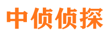 革吉寻人公司